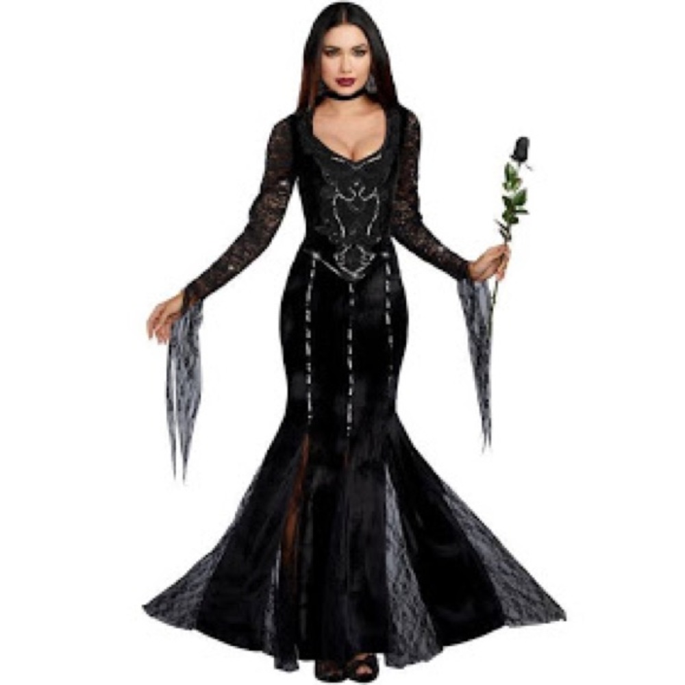 Morticia Addams Dreamgirl Beautiful Costume